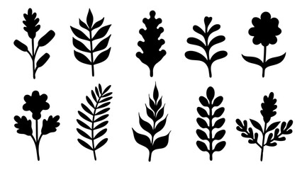 Botanical Silhouettes Collection