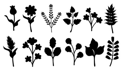 Fototapeta premium Botanical Silhouettes Collection