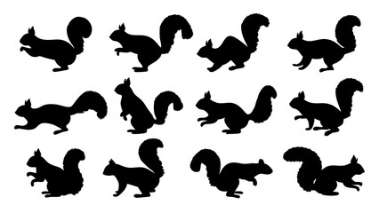 Group of running squirrel silhouette icon vector