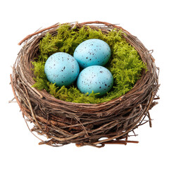 Obraz premium Close-up nature photography a tranquil forest nest symbolizing new life, isolated on transparent background