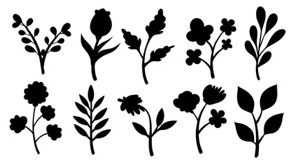 Botanical Silhouettes Collection