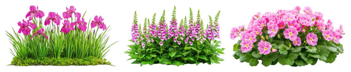 Naklejka premium PNG Vibrant garden flowers display, element set on transparent background