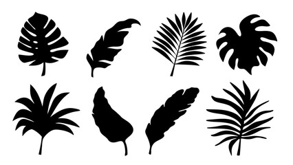 silhouette tropical leaves in vector