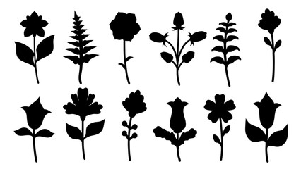 Botanical Silhouettes Collection