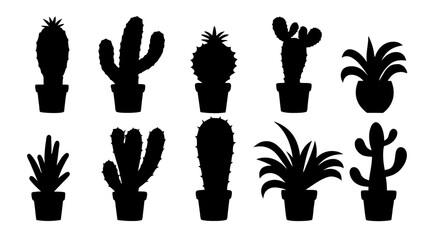 Cactus in pots silhouette