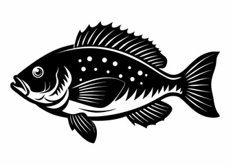 Crappie Fish Ink silhouette vector black on white background.