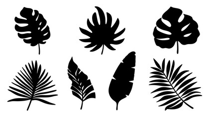 silhouette tropical leaves in vector