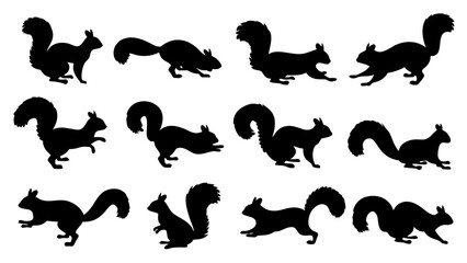 Group of running squirrel silhouette icon vector