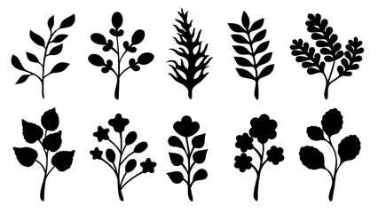 Botanical Silhouettes Collection