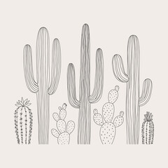 Hand drawing a cactus silhouette vector