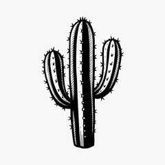 Hand drawing a cactus silhouette vector
