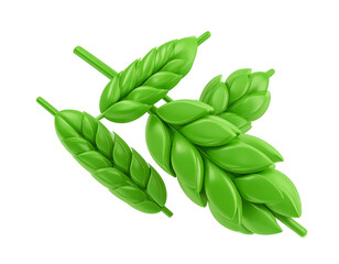 Hops plant illustration