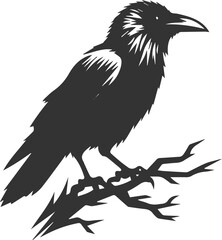 Black bird vector crow silhouette