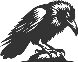 Black bird vector crow silhouette