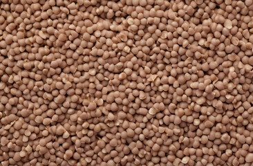 Buckwheat background