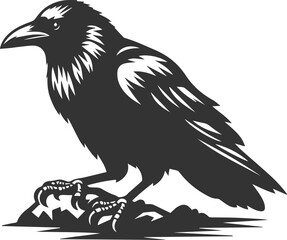 Black bird vector crow silhouette