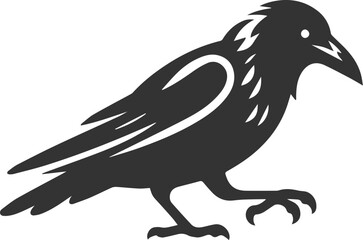Fototapeta premium Black bird vector crow silhouette