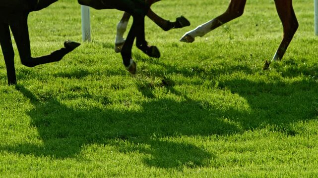 Racehorses in a line gallop up to the Winning Line together, super slow motion