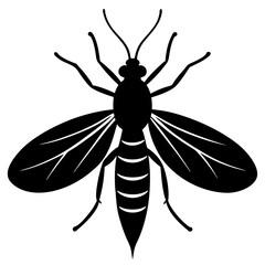 Black and White Silhouette of a Flying Insect