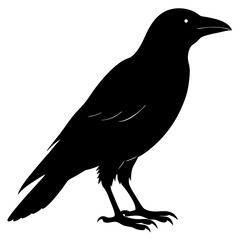 Black Crow Silhouette Illustration Graphic Design