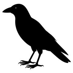 Black Crow Silhouette Illustration Graphic Design