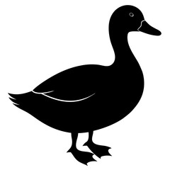 Black Silhouette of a Domestic Duck Bird