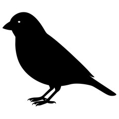 Black Silhouette of a Small Bird Perched