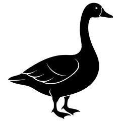 Black Silhouette of a Domestic Goose Standing