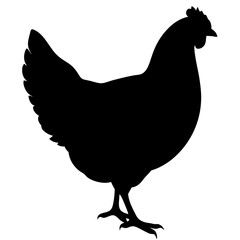 Black Silhouette of a Hen Farm Animal