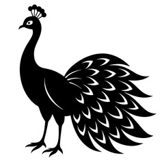 Elegant Black and White Peacock Silhouette Illustration