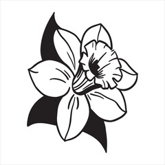 Bright Jonquil Flower &ndash; Springtime Yellow Bloom for Botanical and Seasonal Design