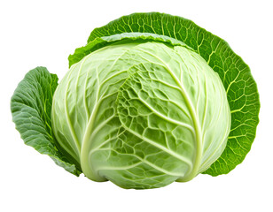 Fototapeta premium Close-up of a fresh green cabbage head. Isolated transparent background