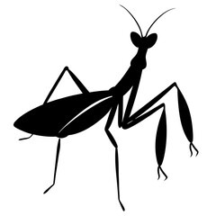 Praying Mantis Silhouette Vector Illustration Graphic