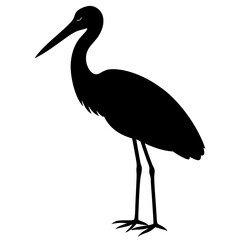 Black Silhouette of a Heron Bird Standing