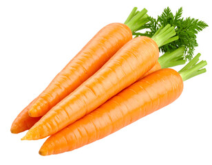 Fresh carrots with vibrant green leaves. Isolated transparent background