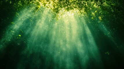 Naklejka premium Sunlight filtering through jungle canopy underwater