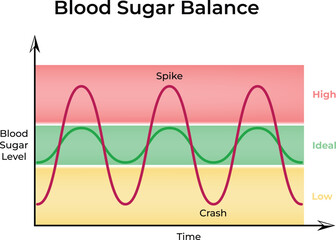 Blood Sugar Balance: Understanding Glucose Fluctuations Design Vector Illustration