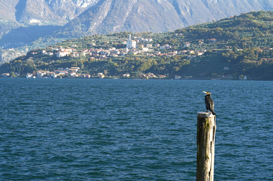 Veduta autunnale del Lago d'Iseo. Provincia di Bergamo, Lombardia, Italia.