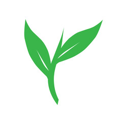 Flat design illustration of leaf icon. Green leaf icon illustration. Green leaf illustration 