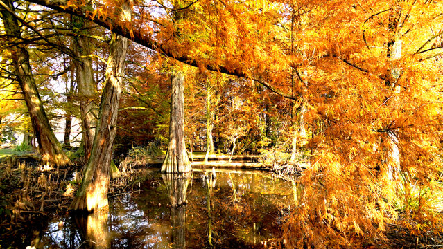 Veduta autunnale del parco naturale protetto dei Tassodi, nei pressi di Sarnico e Paratico, sul lago d'Iseo. Provincia di Bergamo, Lombardia, Italia.