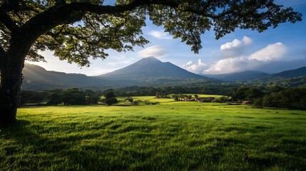 Serene Landscape: Volcano View from Lush Green Pasture