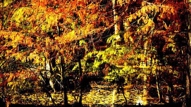Veduta autunnale del parco naturale protetto dei Tassodi, nei pressi di Sarnico e Paratico, sul lago d'Iseo. Provincia di Bergamo, Lombardia, Italia.