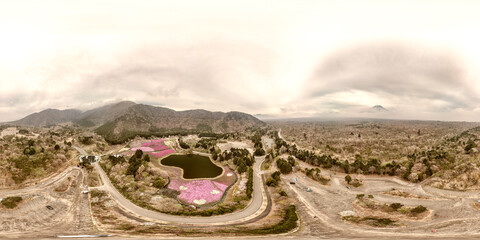 Full spherical 360-degree seamless panorama of the vibrant Fuji Shiba-Sakura Festival in Japan