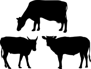Cow Silhouette Vector