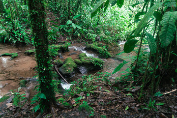Stone tunnels in a quedrada in the middle of the jungle