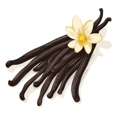 Naklejka premium The closeup vanilla flower and beans isolated on white background vector illustration