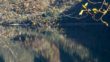 Panorama autunnale del lago d'Idro o Eridio è un lago di origine glaciale situato in provincia di...