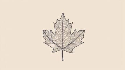 Detailed pen and ink drawing of a maple leaf, a perfect representation of autumn.