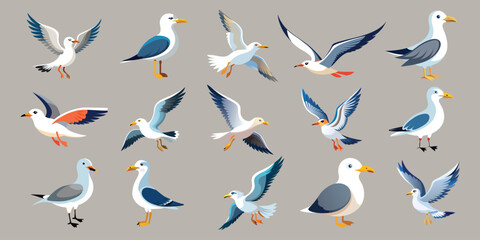 Collection of Flying and Standing Seagulls