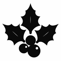 black and white star